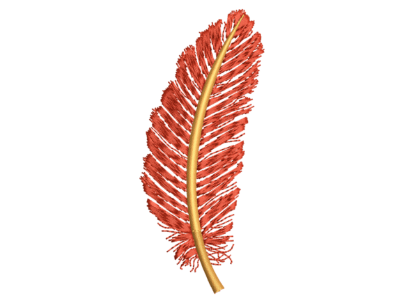 A Professional's Take on the Red Decorative Feather Embroidery